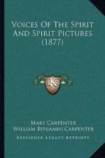 Voices Of The Spirit And Spirit Pictures (1877)