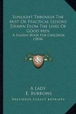 Sunlight Through The Mist Or Practical Lessons Drawn From The Lives Of Good Men: A Sunday Book For Children (1854)