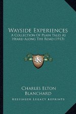Wayside Experiences: A Collection Of Plain Tales As Heard Along The Road (1913)