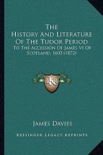 The History And Literature Of The Tudor Period: To The Accession Of James VI Of Scotland, 1603 (1872)