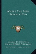 Where The Path Breaks (1916)