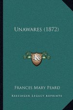 Unawares (1872)