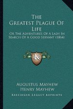The Greatest Plague Of Life: Or The Adventures Of A Lady In Search Of A Good Servant (1864)