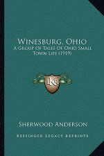 Winesburg, Ohio: A Group Of Tales Of Ohio Small Town Life (1919)