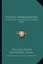 Young Marmaduke: A Story Of The Reign Of Terror (1881)