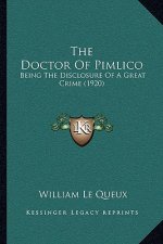 The Doctor Of Pimlico: Being The Disclosure Of A Great Crime (1920)