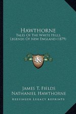 Hawthorne: Tales Of The White Hills, Legends Of New England (1879)