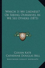 Which Is My Likeness? Or Seeing Ourselves As We See Others (1873)