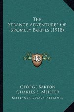 The Strange Adventures Of Bromley Barnes (1918)