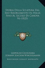 Storia Della Scultura Dal Suo Risorgimento In Italia Fino Al Secolo Di Canova V6 (1825)