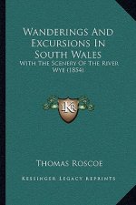 Wanderings And Excursions In South Wales: With The Scenery Of The River Wye (1854)