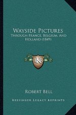 Wayside Pictures: Through France, Belgium, And Holland (1849)
