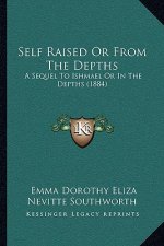 Self Raised Or From The Depths: A Sequel To Ishmael Or In The Depths (1884)