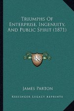 Triumphs Of Enterprise, Ingenuity, And Public Spirit (1871)