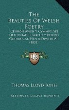 The Beauties Of Welsh Poetry: Ceinion Awen Y Cymmry, Sef Detholiad O Waith Y Beirdd Godidocaf, Hen A Diweddar (1831)