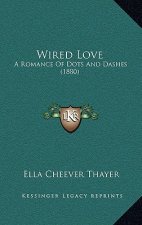 Wired Love: A Romance Of Dots And Dashes (1880)