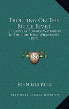 Trouting On The Brule River: Or Lawyers' Summer-Wayfaring In The Northern Wilderness (1879)