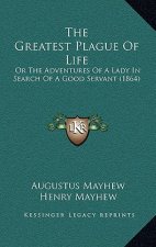 The Greatest Plague Of Life: Or The Adventures Of A Lady In Search Of A Good Servant (1864)