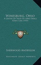 Winesburg, Ohio: A Group Of Tales Of Ohio Small Town Life (1919)