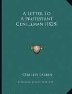 A Letter To A Protestant Gentleman (1828)