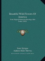 Beautiful Wild Flowers Of America: From Original Watercolor Drawings After Nature (1885)