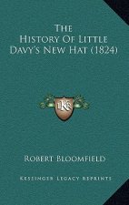The History Of Little Davy's New Hat (1824)