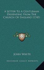 A Letter To A Gentleman Dissenting From The Church Of England (1745)