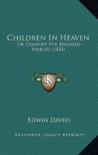 Children In Heaven: Or Comfort For Bereaved Parents (1854)