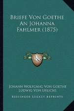 Briefe Von Goethe An Johanna Fahlmer (1875)