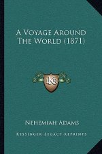 A Voyage Around The World (1871)