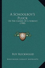 A Schoolboy's Pluck: Or The Career Of A Nobody (1900)