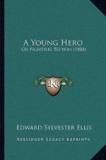 A Young Hero: Or Fighting To Win (1888)