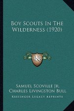 Boy Scouts In The Wilderness (1920)