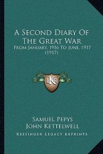 A Second Diary Of The Great War: From January, 1916 To June, 1917 (1917)