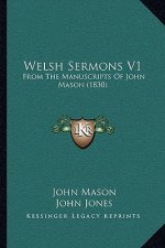 Welsh Sermons V1: From The Manuscripts Of John Mason (1830)