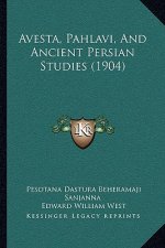 Avesta, Pahlavi, And Ancient Persian Studies (1904)