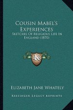 Cousin Mabel's Experiences: Sketches Of Religious Life In England (1870)