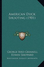 American Duck Shooting (1901)