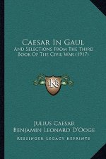 Caesar In Gaul: And Selections From The Third Book Of The Civil War (1917)