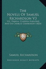 The Novels Of Samuel Richardson V3: Viz. Pamela, Clarissa Harlowe, And Sir Charles Grandison (1824)