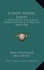 A Saint Among Saints: A Sketch Of The Life Of Saint Emmelia, Mother Of St. Basil The Great (1885)