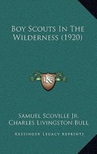 Boy Scouts In The Wilderness (1920)