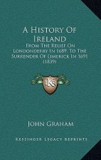 A History Of Ireland: From The Relief On Londonderry In 1689, To The Surrender Of Limerick In 1691 (1839)