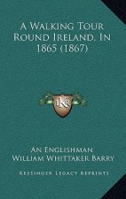 A Walking Tour Round Ireland, In 1865 (1867)