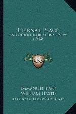 Eternal Peace: And Other International Essays (1914)