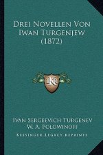 Drei Novellen Von Iwan Turgenjew (1872)