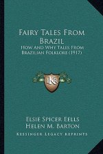 Fairy Tales From Brazil: How And Why Tales From Brazilian Folklore (1917)