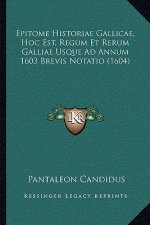Epitome Historiae Gallicae, Hoc Est, Regum Et Rerum Galliae Usque Ad Annum 1603 Brevis Notatio (1604)