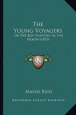 The Young Voyagers: Or The Boy Hunters In The North (1853)
