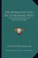 Die Wirkliche Und Die Scheinbare Welt: Neue Grundlegung Der Metaphysik (1882)